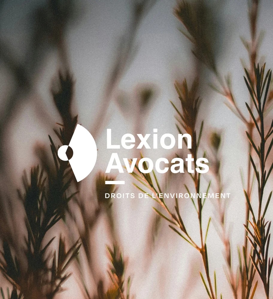 LEXION_LEMON AND PEPPER